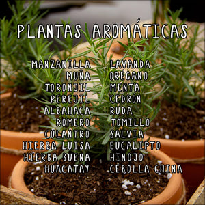 Plantas Aromáticas